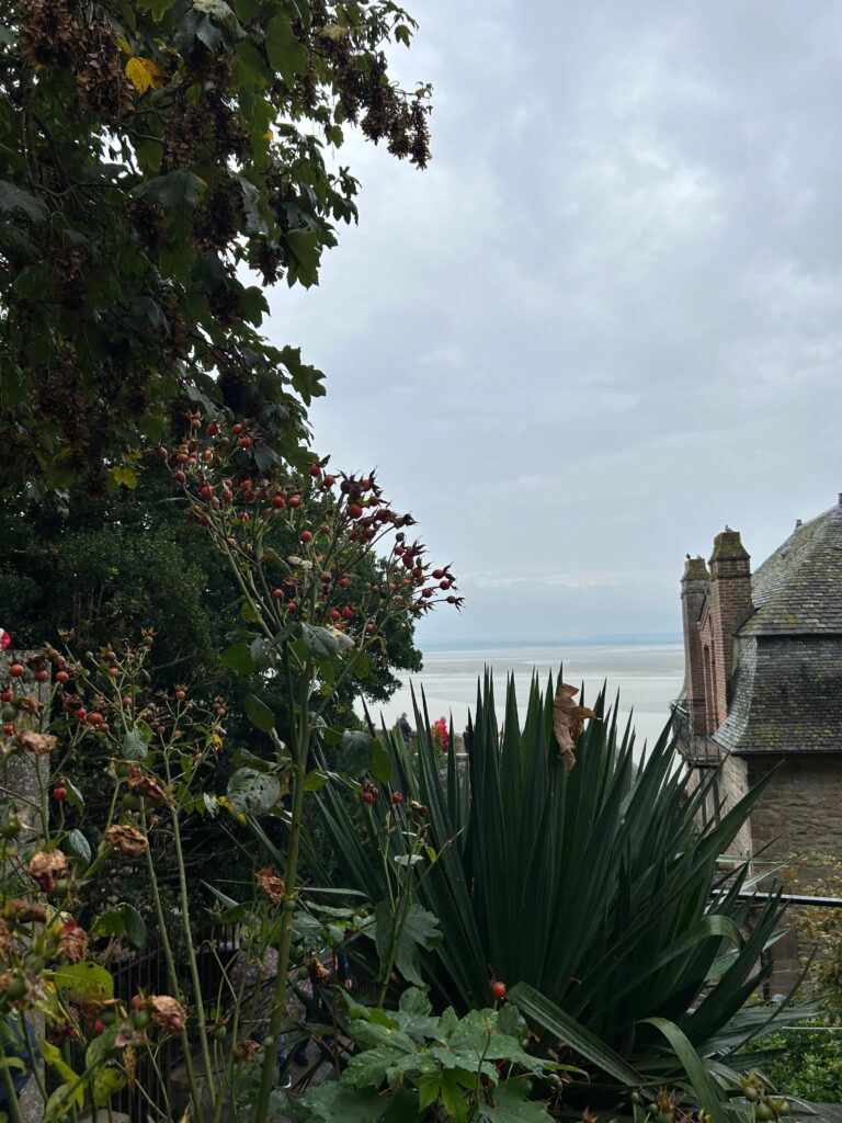 Mont-Saint-Michel and au revoir from Normandy <3